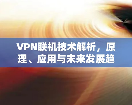 VPN联机技术解析，原理、应用与未来发展趋势